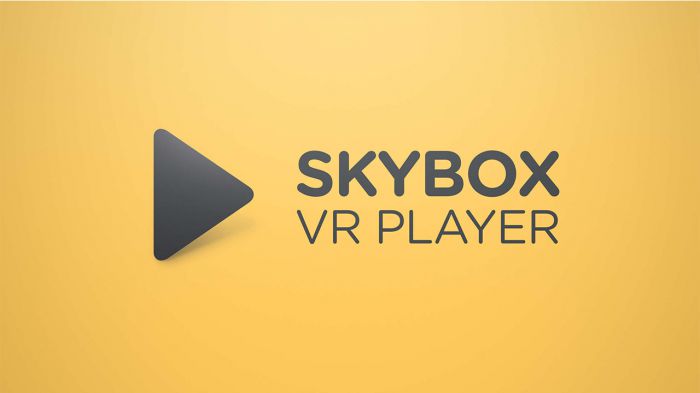 视频播放器 SKYBOX VR