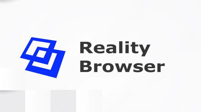 透视浏览器 Reality Browser