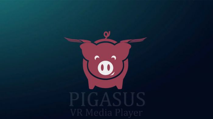 飞猪播放器 Pigasus VR Media Player